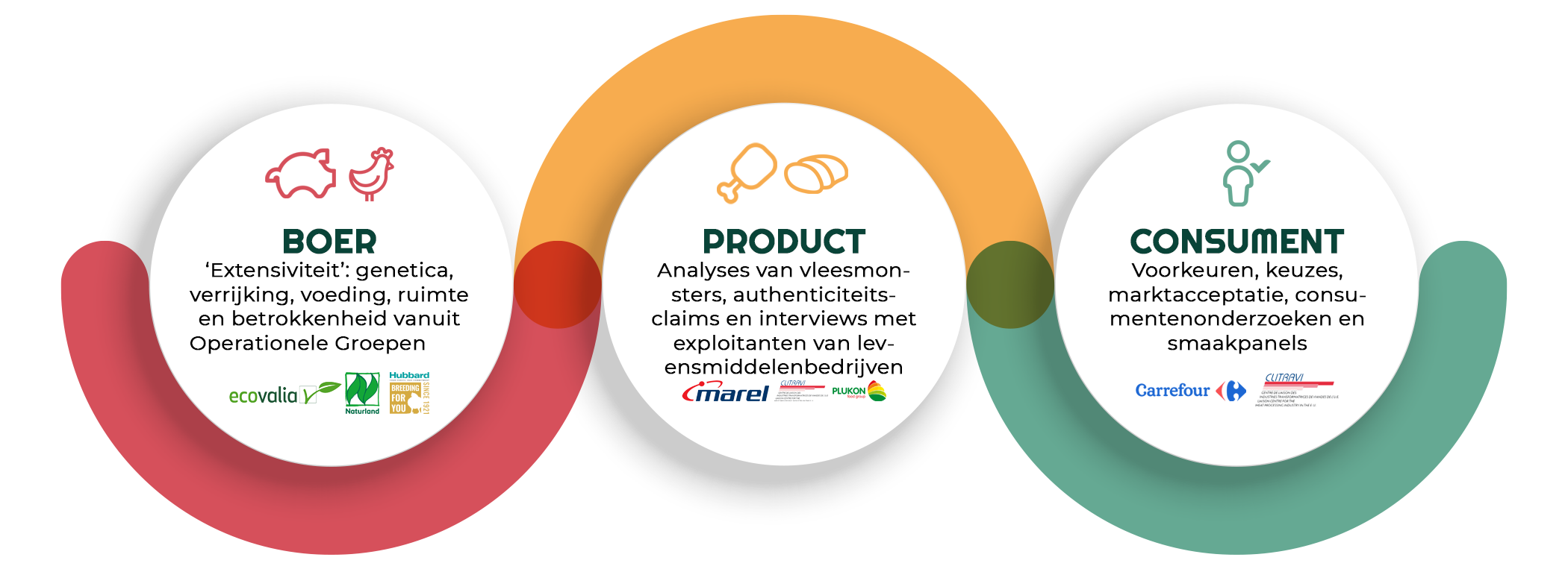 Multiactor-DUTCH BRIGITTE