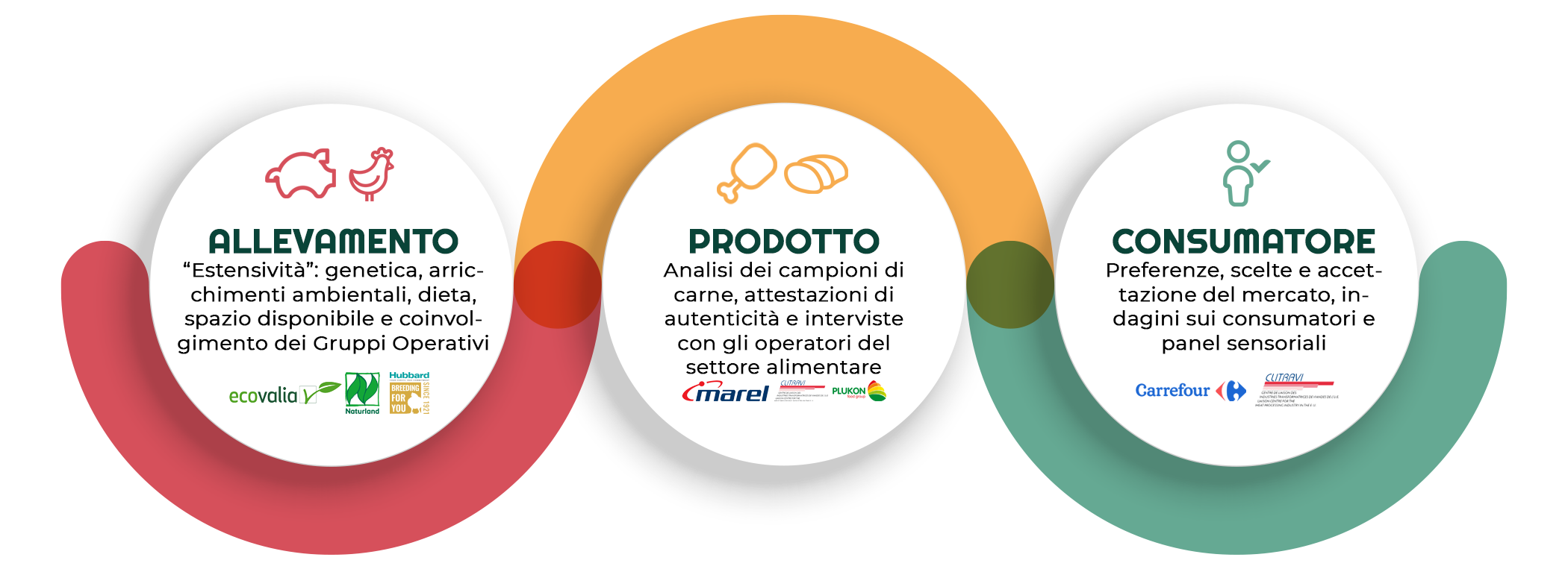 corregido-Multiactor-ITALIAN