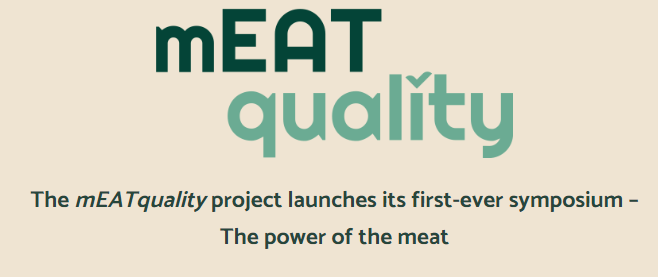 cover newsletter 1st