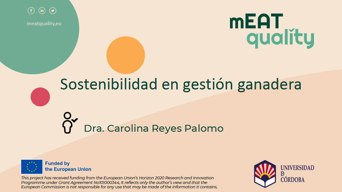 Captura de pantalla 2025-03-05 a las 9.37.30