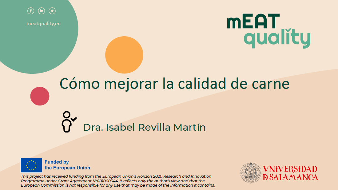 Captura de pantalla 2025-03-05 a las 9.40.20