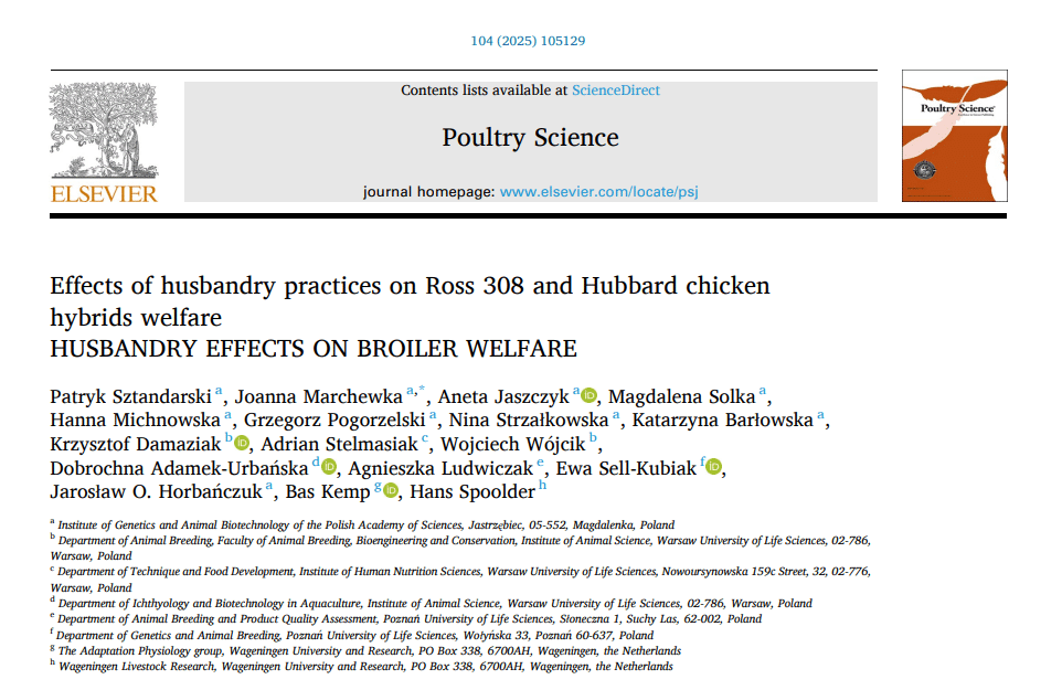 Husbandry effects on nroiler welfare 2025
