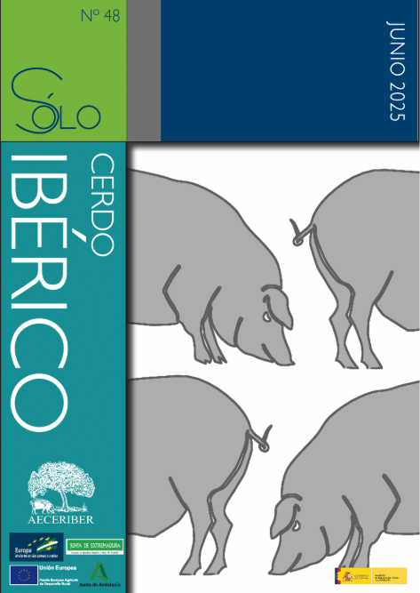 Cerdo ibérico artículo 2025