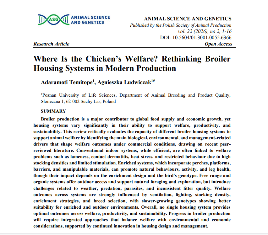 Article broilers 2026