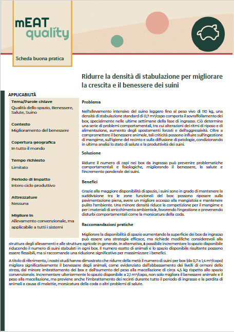 Captura de pantalla 2026-03-02 a las 10.21.17